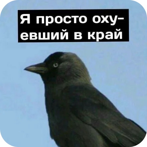 Sticker LenochkaMurrr - 1