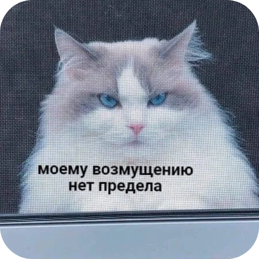 Sticker LenochkaMurrr - 1