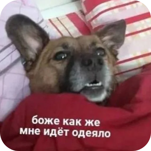 Sticker LenochkaMurrr - 1