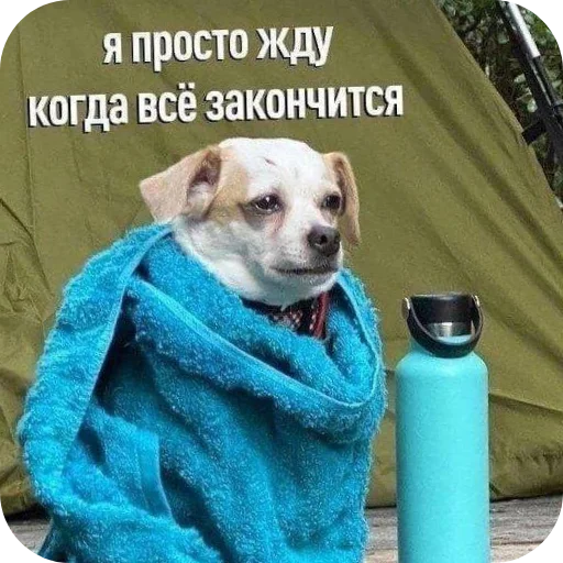 Стикер LenochkaMurrr - 1