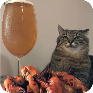 Стикер ЛеночкаМуррр - 4