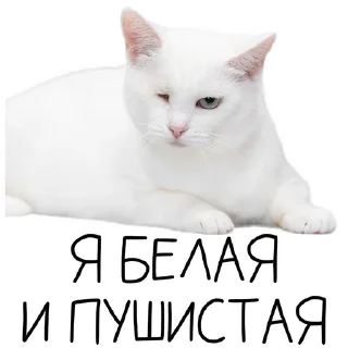 Стикер Лента Добра х Vetland Adoption (@dobrayalenta @vetland_adoption) - 7