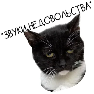 Стикер Лента Добра х Vetland Adoption (@dobrayalenta @vetland_adoption) - 5