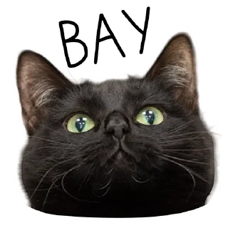 Стикер Лента Добра х Vetland Adoption (@dobrayalenta @vetland_adoption) - 10