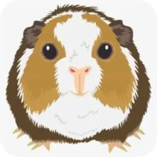 Стикер что. - 0