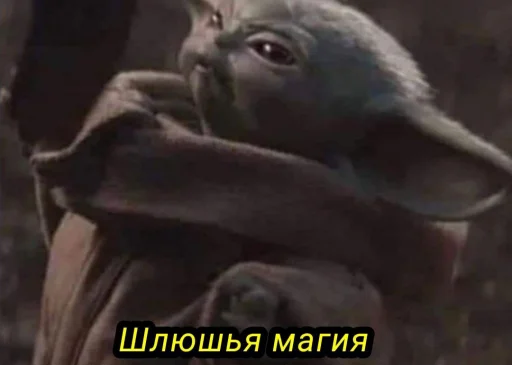 Sticker LernardLife - 1