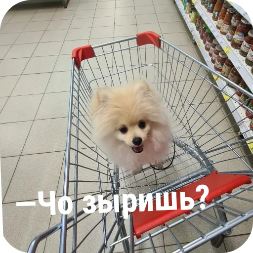 Стикер Leruantik - 1