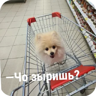 Sticker Леруантик 🙈 - 11