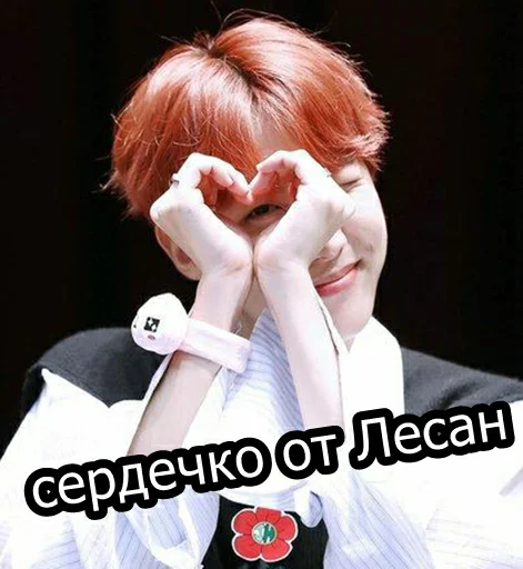 Sticker LesanJimin - 1