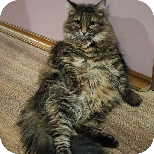 Лесенка❄️ - 