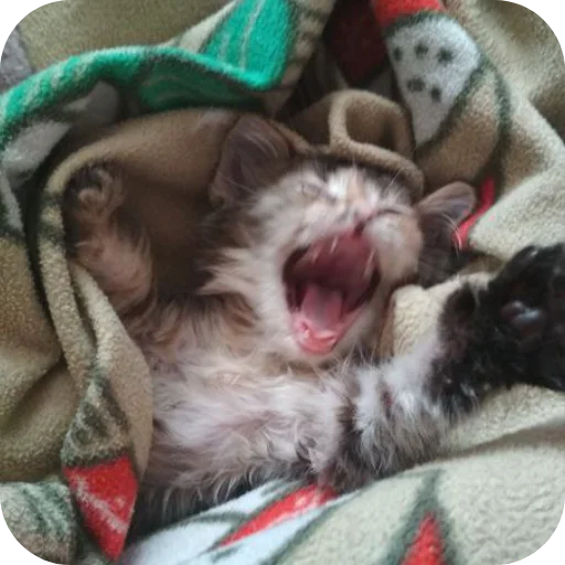 Sticker Lesenka75 - 1