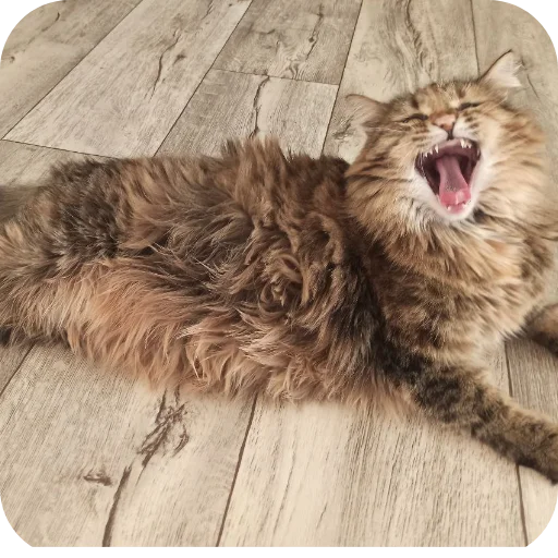 Sticker Lesenka75 - 1