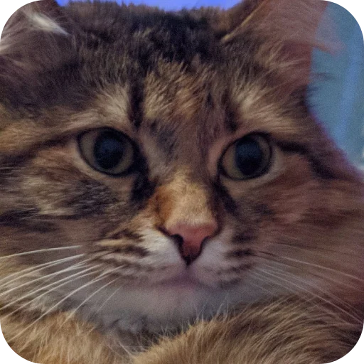 Sticker Lesenka75 - 1