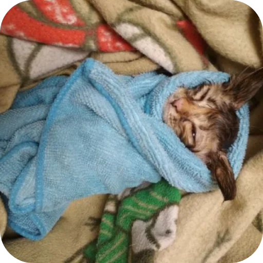 Sticker Lesenka75 - 1