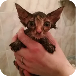 Стикер Лесенка❄️ - 10