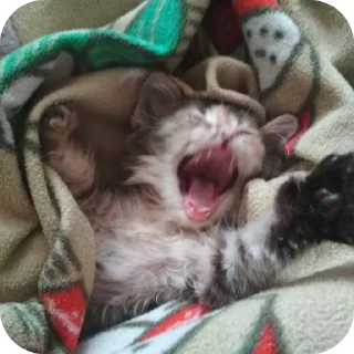 Стикер Лесенка❄️ - 9