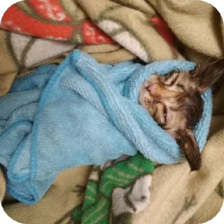 Стикер Лесенка❄️ - 0