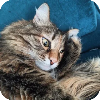 Стикер Лесенка❄️ - 6