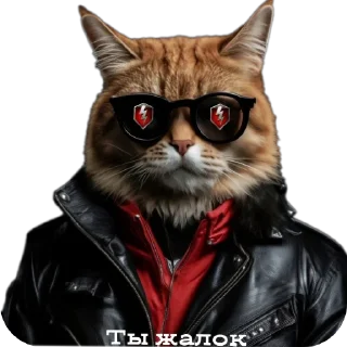 Sticker Леста - 3