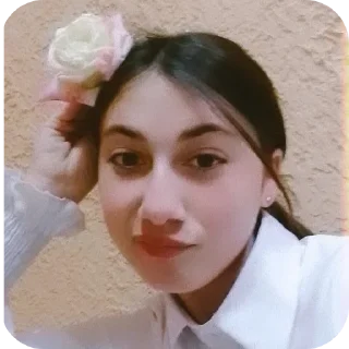 Sticker Леся топ - 2