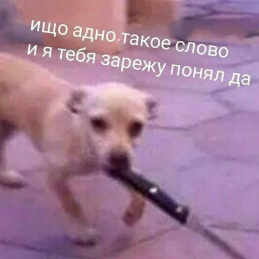 Sticker Letsdoshit - 1