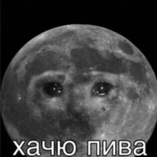 Sticker Letsdoshit - 1