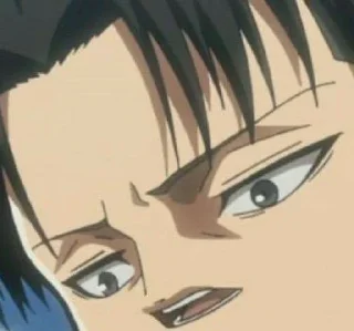 Sticker Levi Meme| @ThemeAot - 10