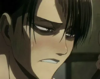 Sticker Levi Meme| @ThemeAot - 9