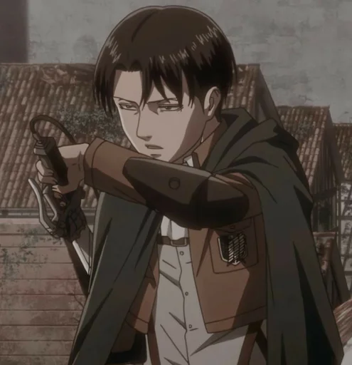 Sticker Levi ackerman~🌿 - 10