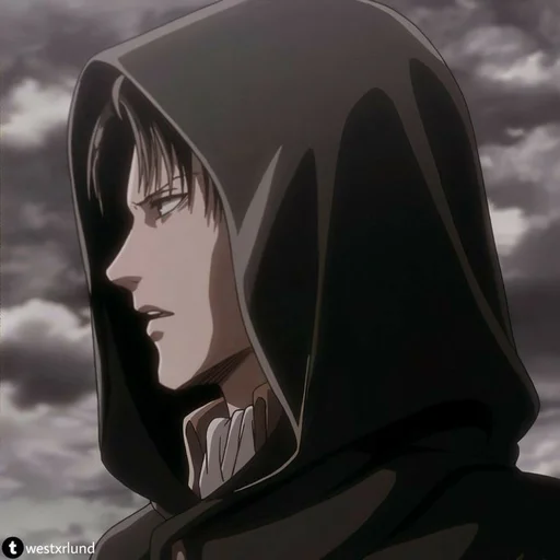 Sticker Levi ackerman~🌿 - 0