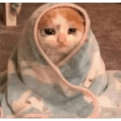 комнатный Человек одеяло