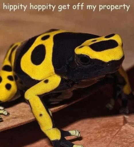 Стикер LibertarianSnake - 1