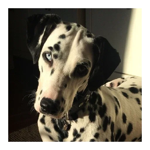 Стикер LichnoMaksansa - 1