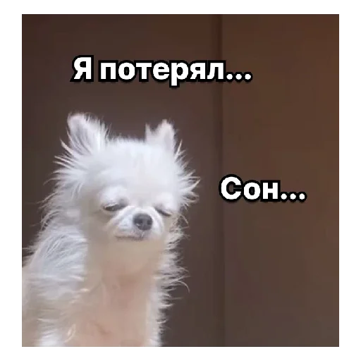 Sticker LichnoMaksansa - 1