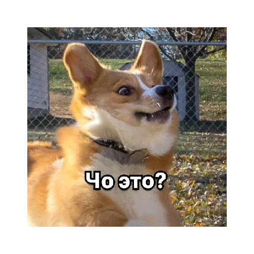 Sticker LichnoMaksansa - 1