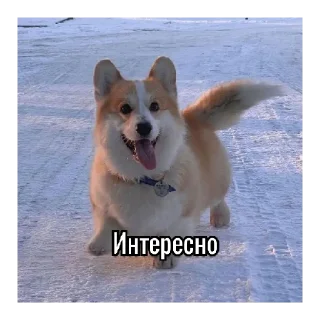 Sticker Лично Максанса - 2