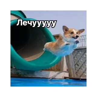 Sticker Лично Максанса - 11