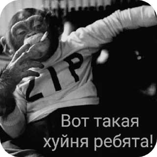 Sticker ᴇ𝑥ᴄʟᴜ𝑠ɪᴠᴇ ᴍᴜ𝑠ɪᴄ ᴘᴏʀᴛᴀʟ - 8