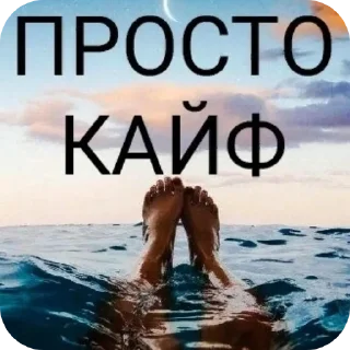 Sticker ᴇ𝑥ᴄʟᴜ𝑠ɪᴠᴇ ᴍᴜ𝑠ɪᴄ ᴘᴏʀᴛᴀʟ - 7