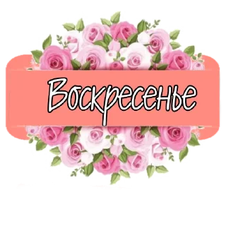 Стикер @lidia_egorova60 - 9