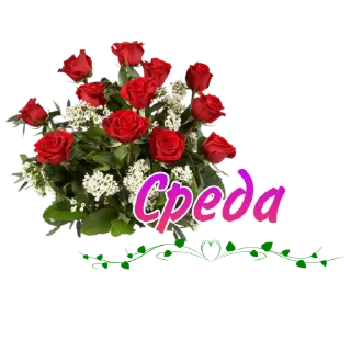 Стикер @lidia_egorova60 - 3