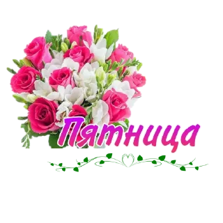 Стикер @lidia_egorova60 - 5