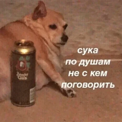 животное млекопитающее земля