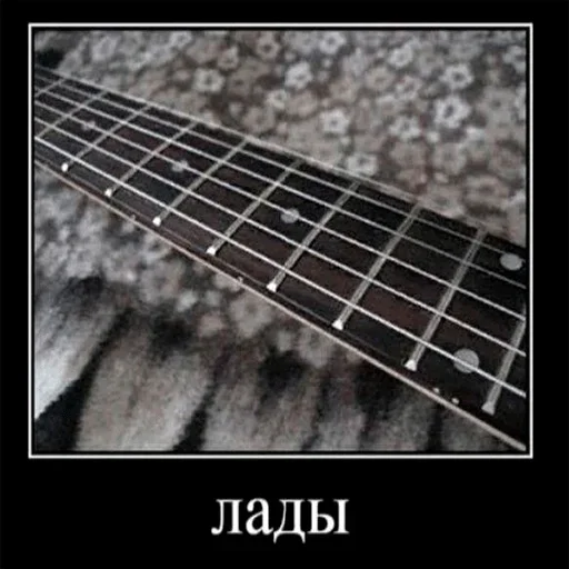 musical instrument guitar music