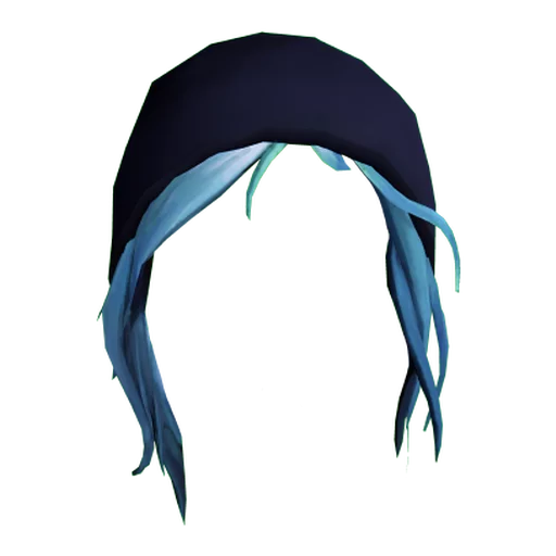 invertebrate black animal