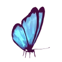 Sticker Life is Strange - 8