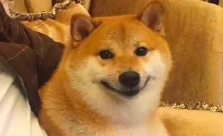 Sticker ¯\_(ツ)_/¯ @TgEmodziBot - 6