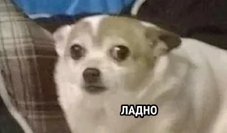 Sticker ¯\_(ツ)_/¯ @TgEmodziBot - 3