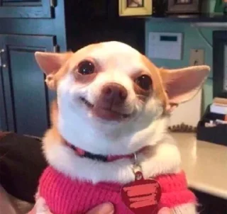 Sticker ¯\_(ツ)_/¯ @TgEmodziBot - 9