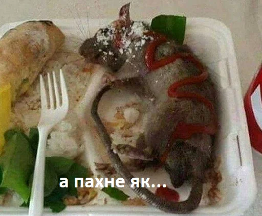 food fast food cuisine